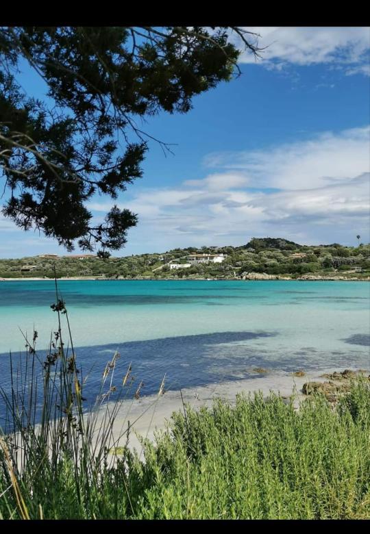 B&B Marina Olbia Eksteriør billede